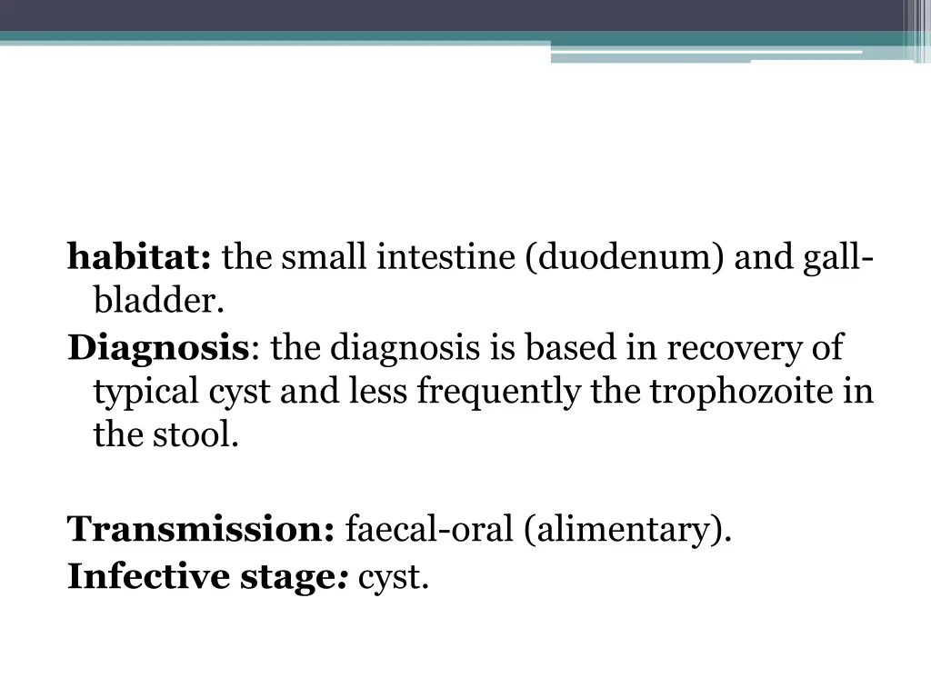 habitat the small intestine duodenum and gall
