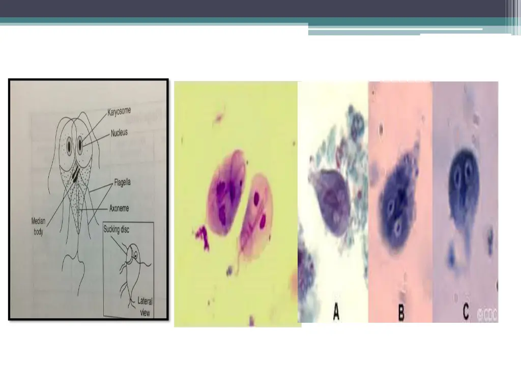 slide5