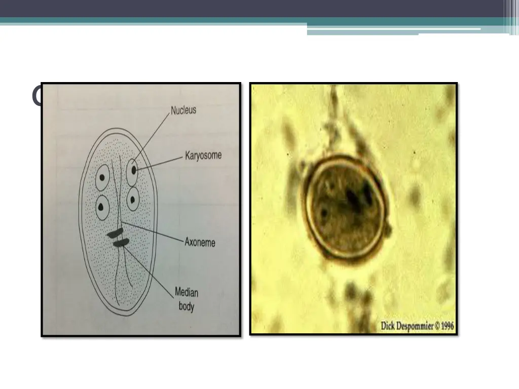 slide6