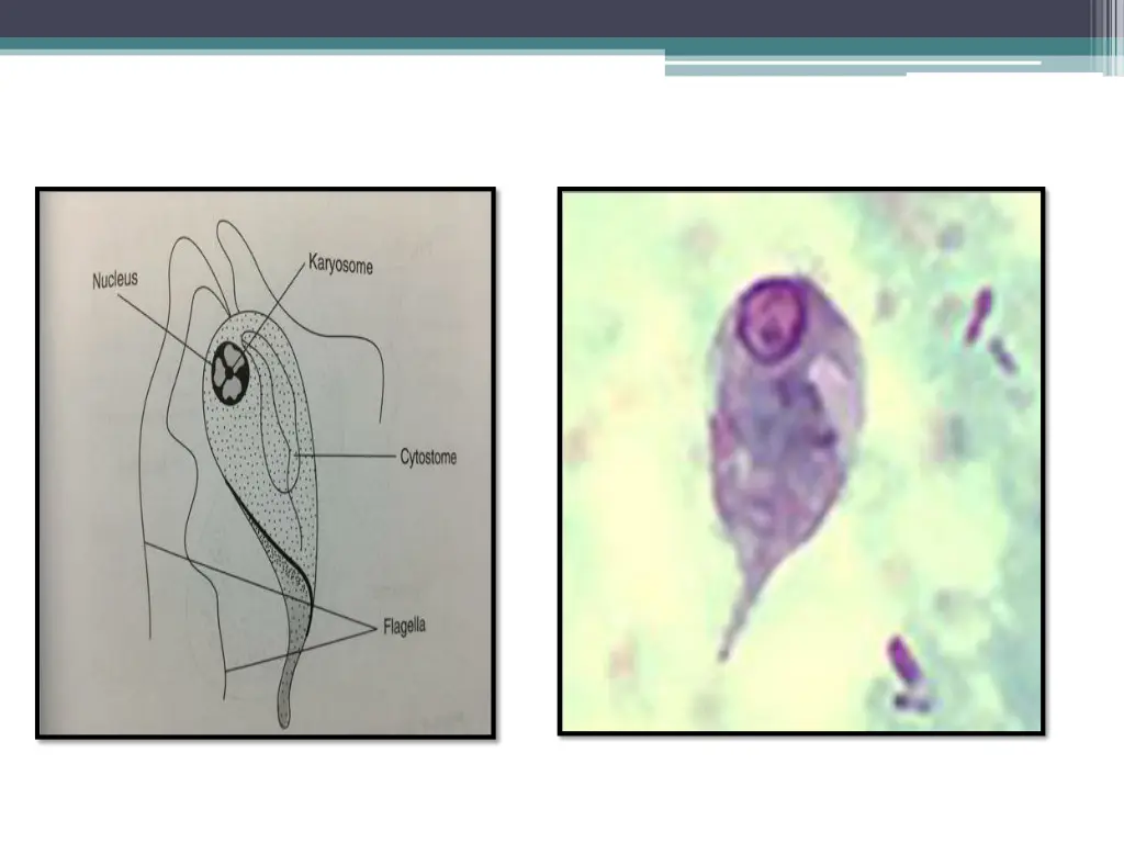 slide9