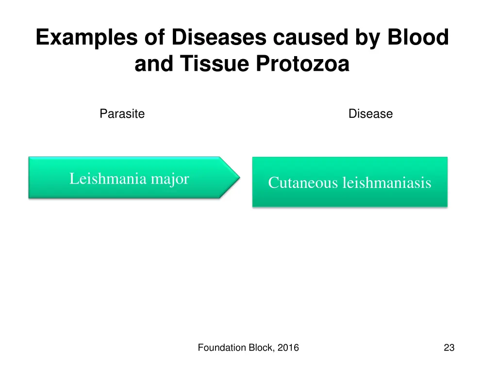 examples of diseases caused by blood and tissue 1