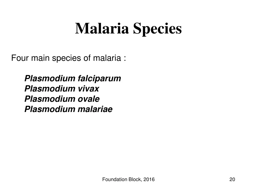 malaria species