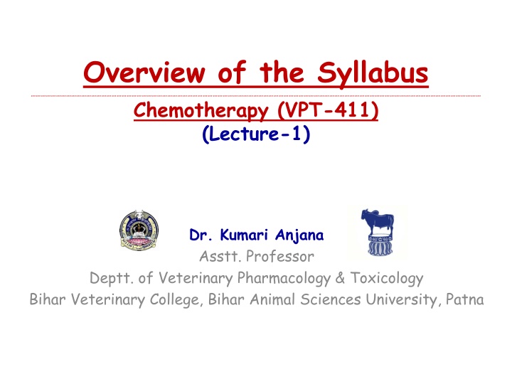 overview of the syllabus chemotherapy