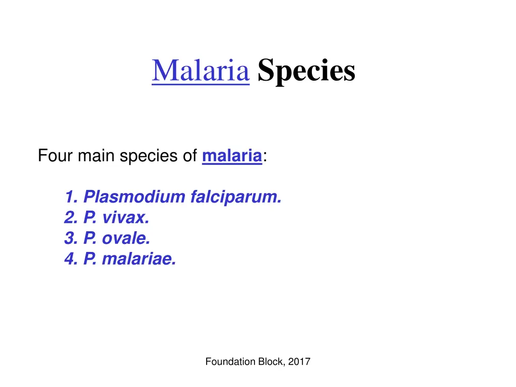 malaria species