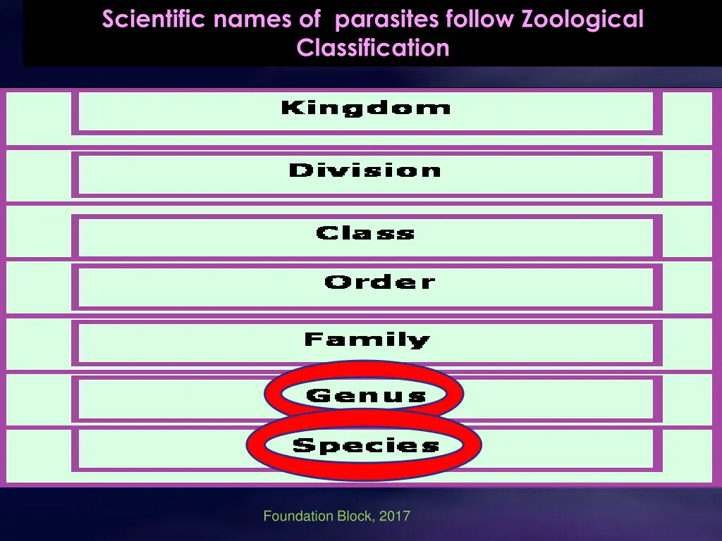 scientific names of parasites follow zoological