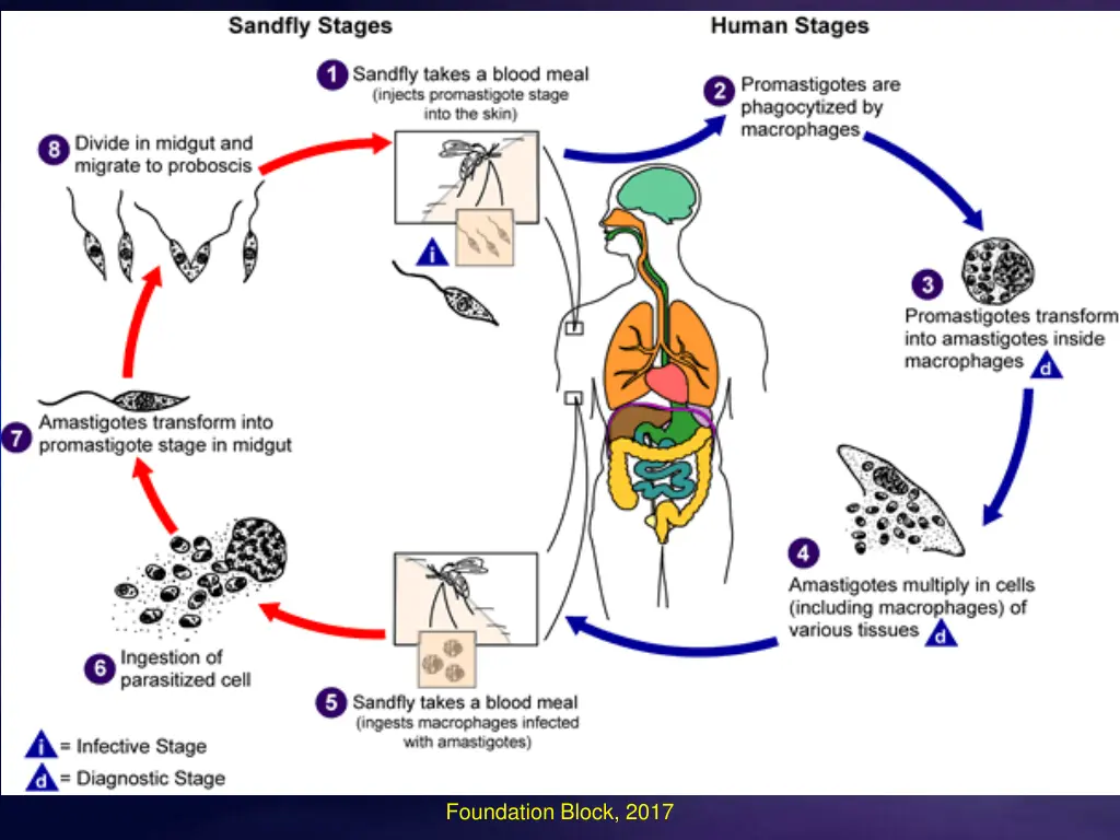 slide22