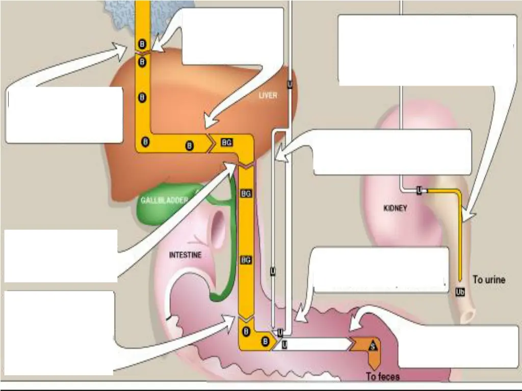 slide14
