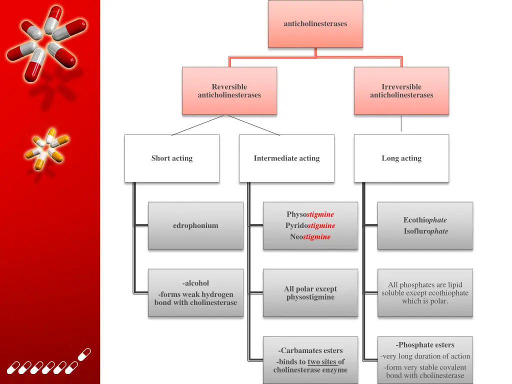 anticholinesterases