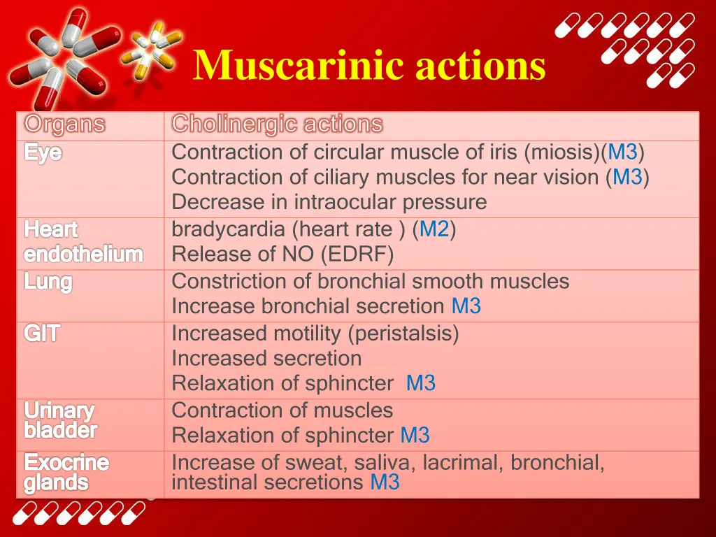 muscarinic actions