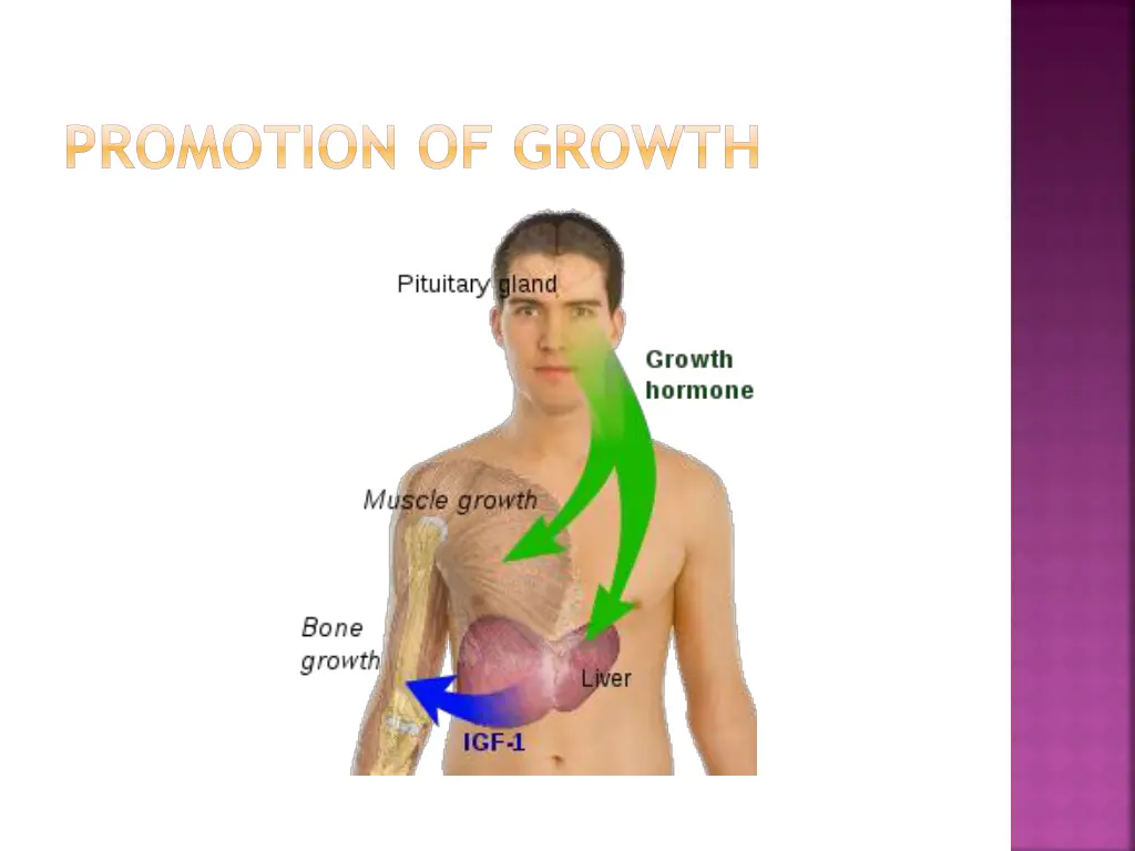 promotion of growth