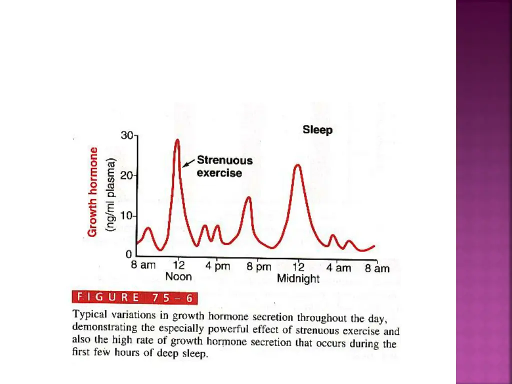 slide23