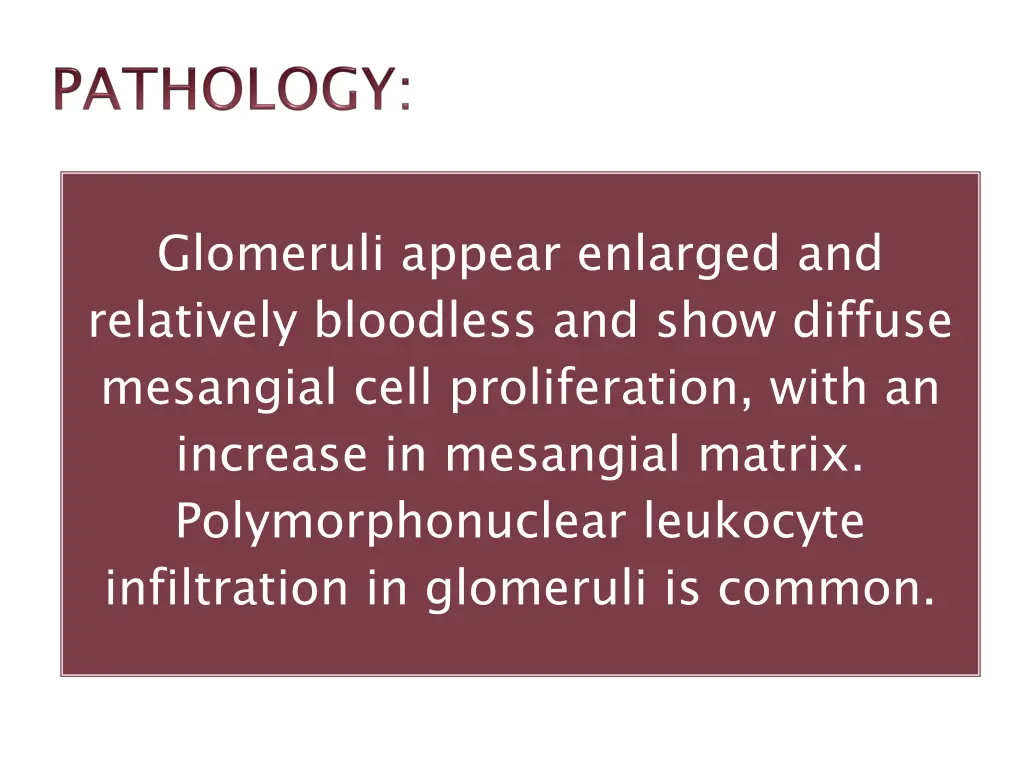 glomeruli appear enlarged and relatively