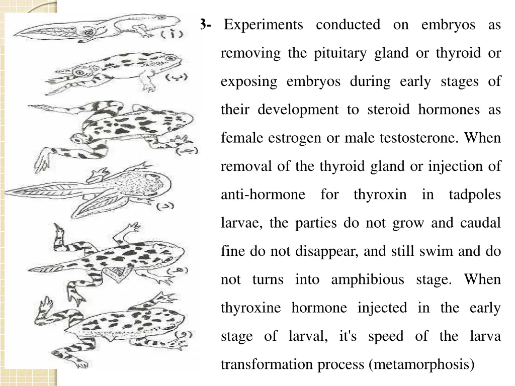 3 experiments conducted on embryos as