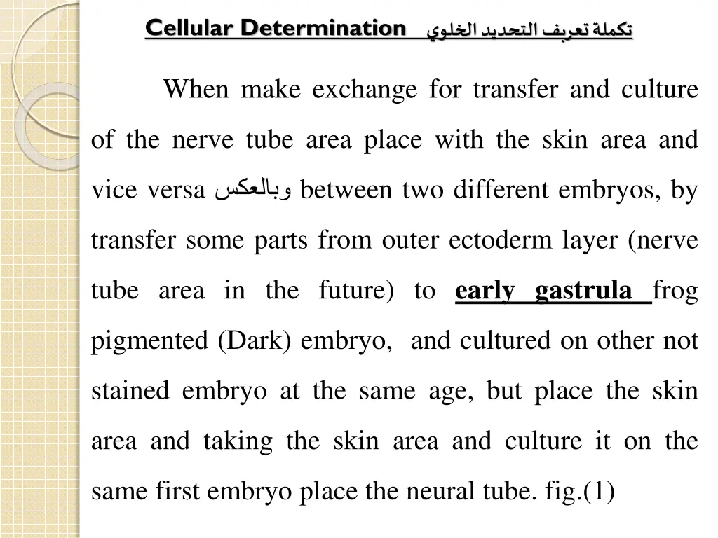 cellular determination 1