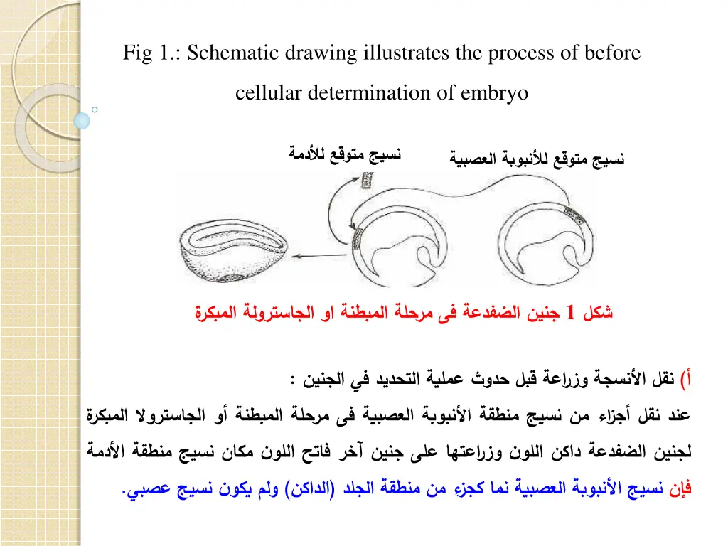 fig 1 schematic drawing illustrates the process