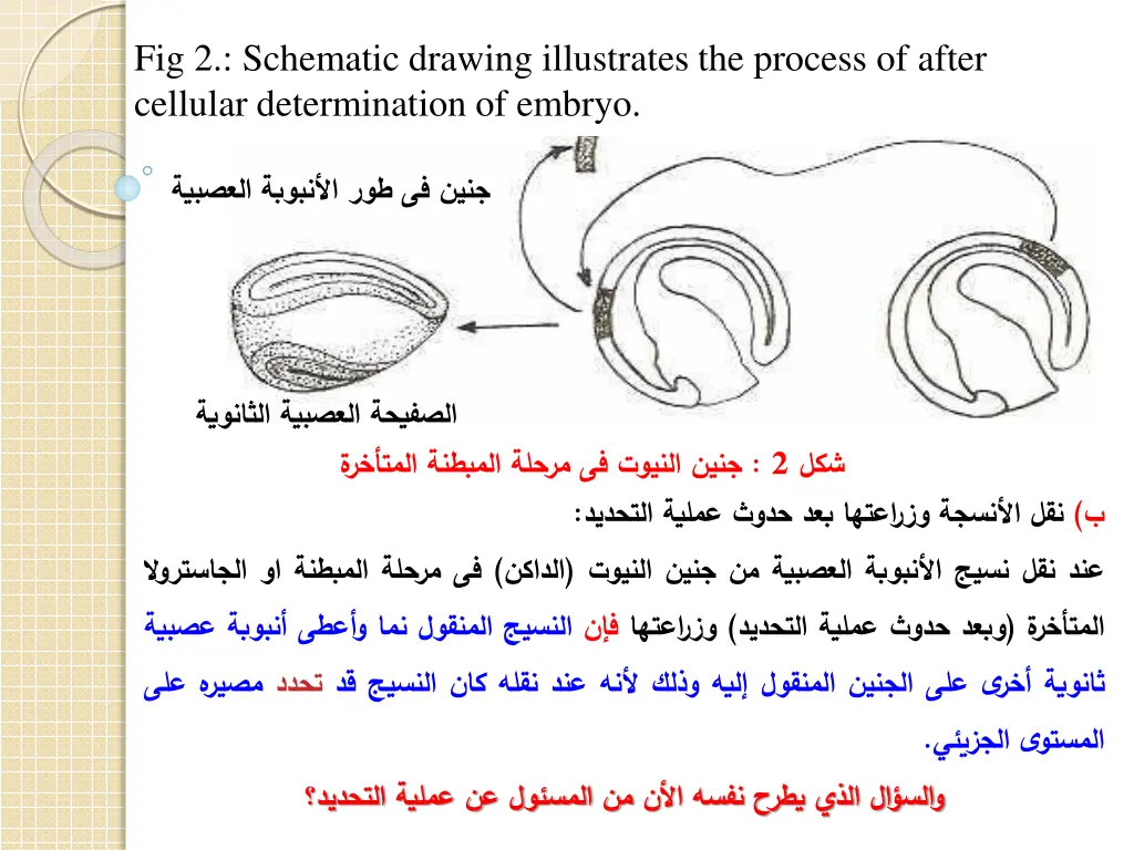 fig 2 schematic drawing illustrates the process