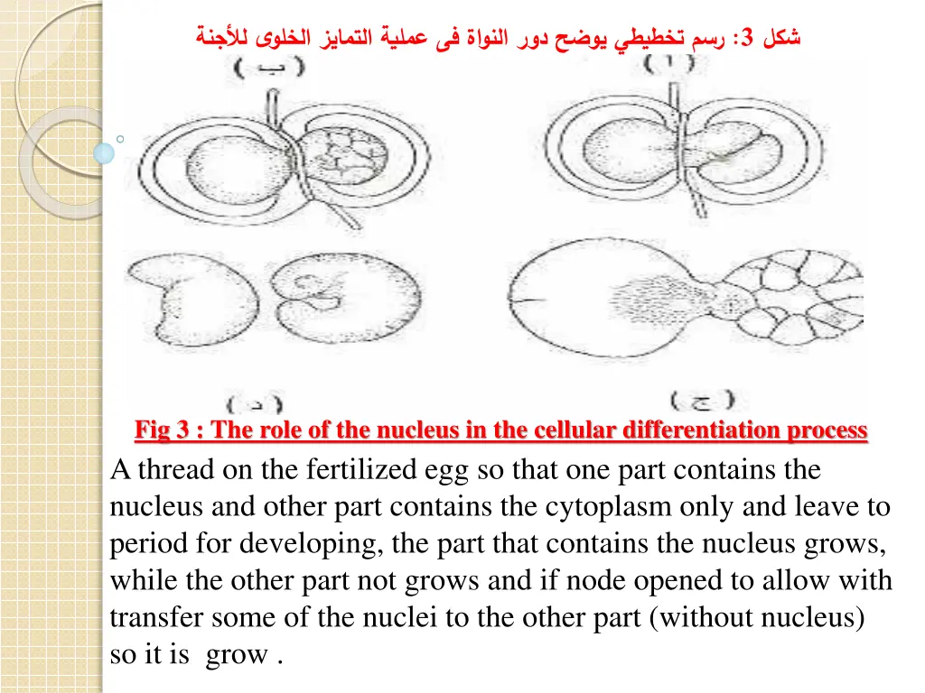 slide20