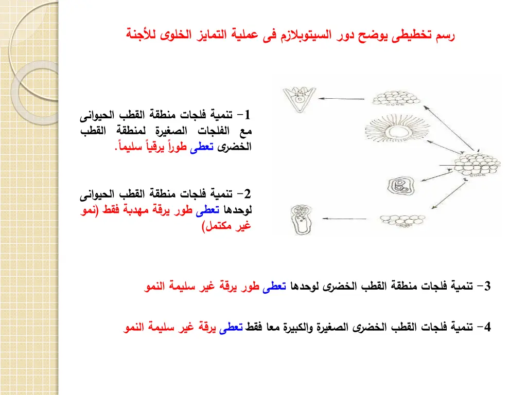 slide29