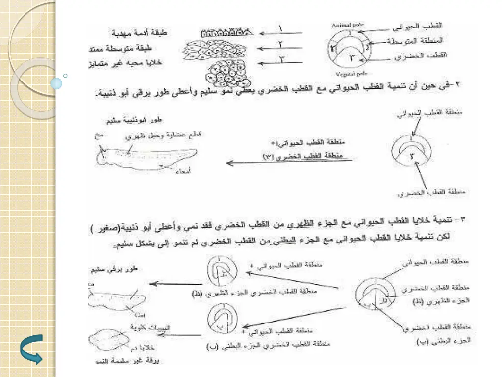 slide32