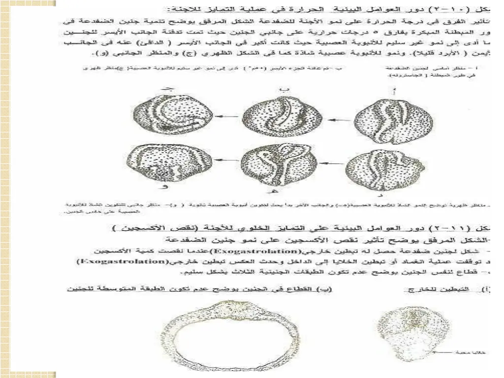 slide41