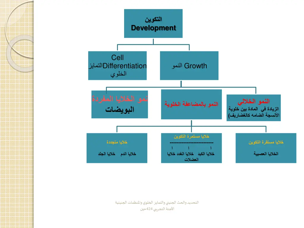 slide7