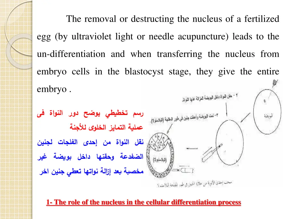 the removal or destructing the nucleus