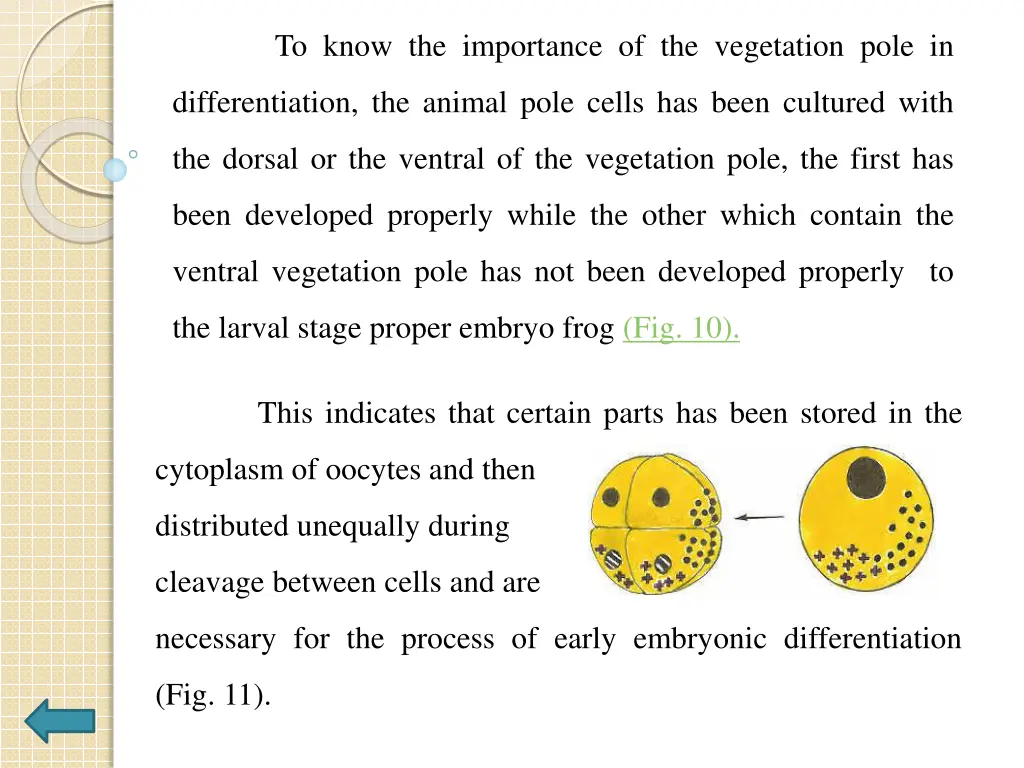 to know the importance of the vegetation pole in
