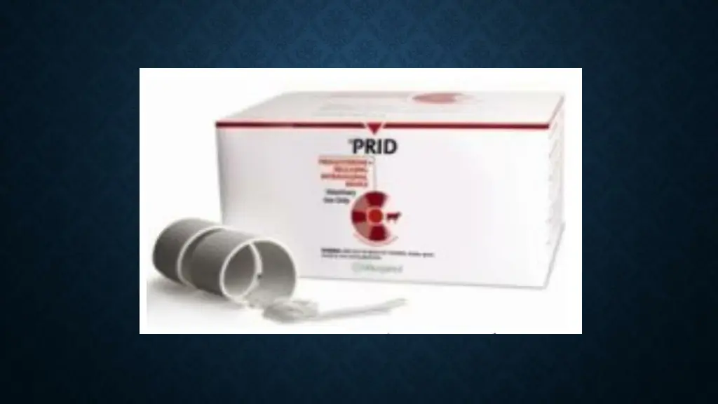 slide8