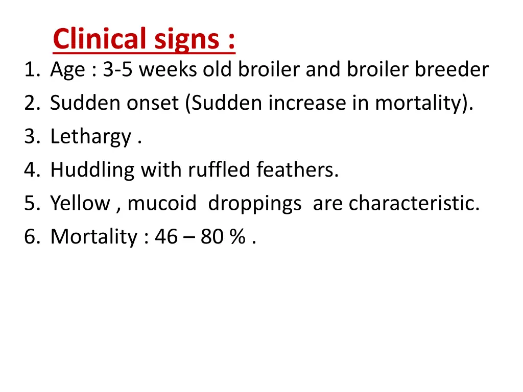 clinical signs 1 age 3 5 weeks old broiler