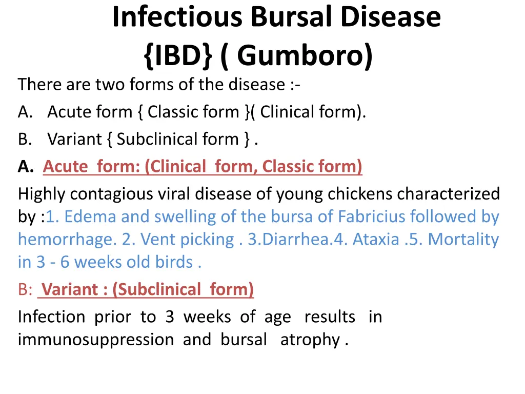 infectious bursal disease ibd gumboro there