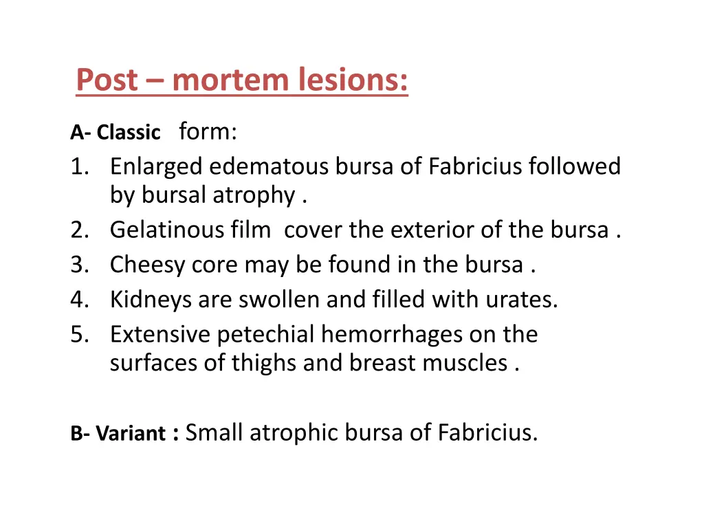post mortem lesions