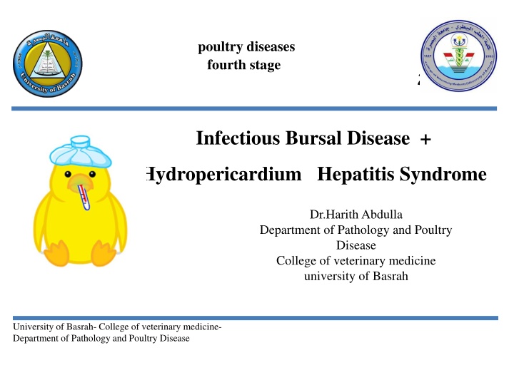 poultry diseases fourth stage