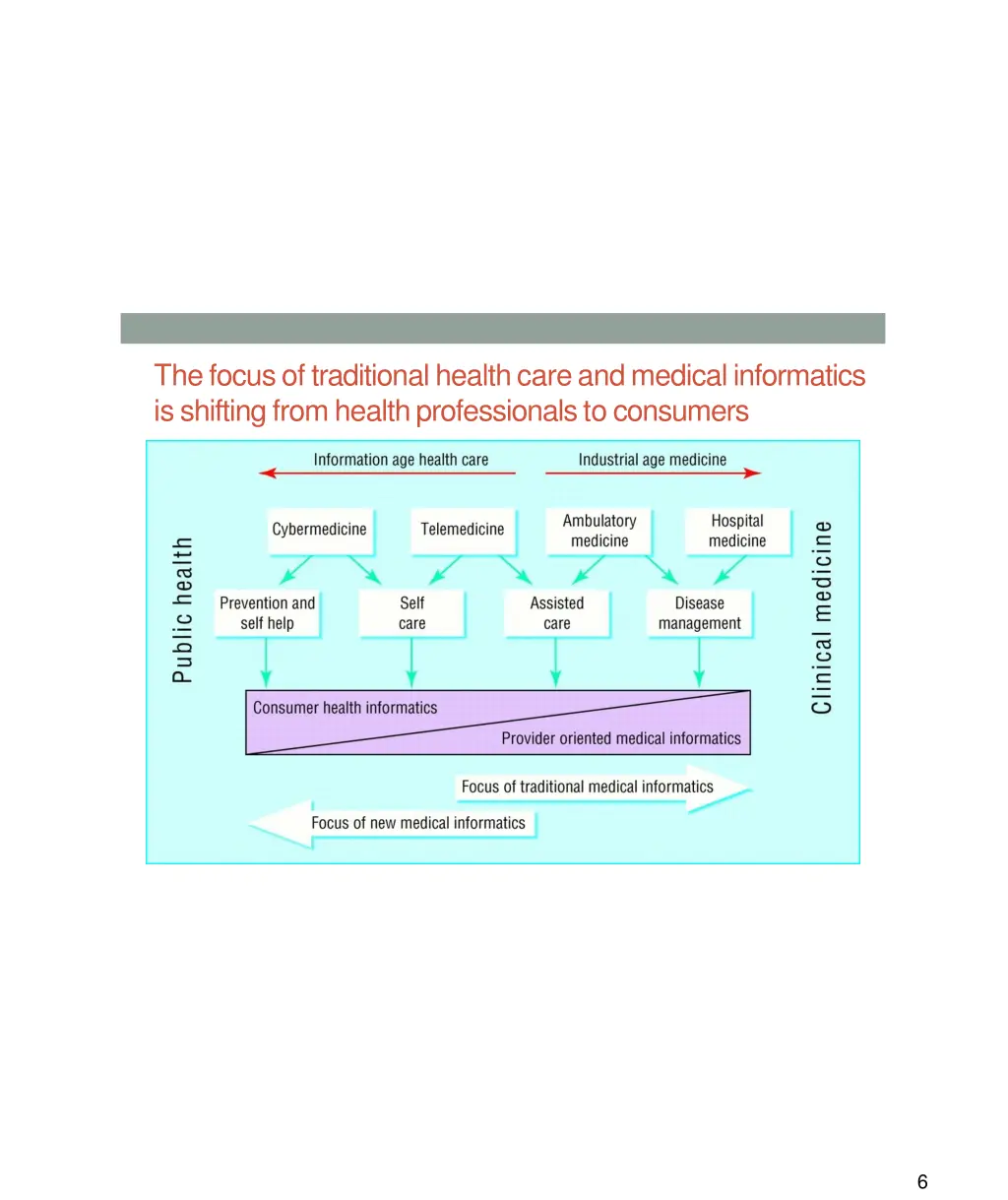 thefocusoftraditionalhealthcareandmedicalinformati