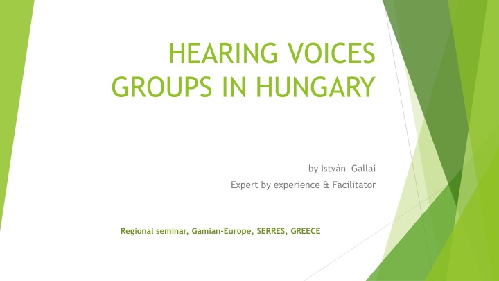 hearing voices groups in hungary