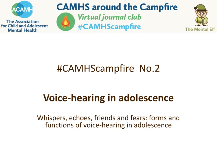 camhscampfire no 2