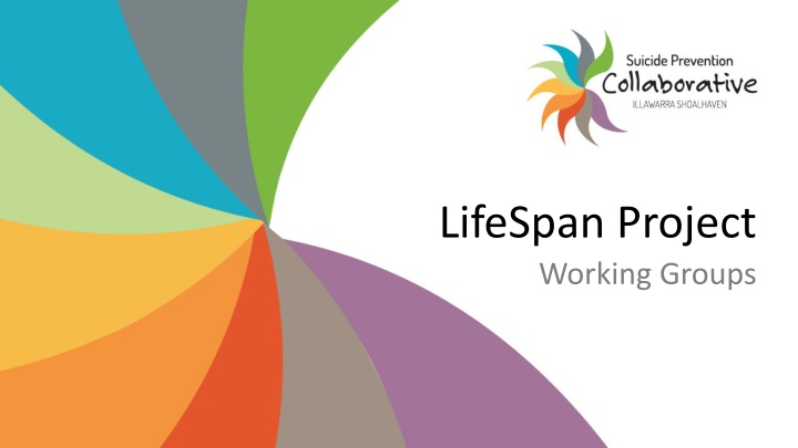 lifespan project working groups