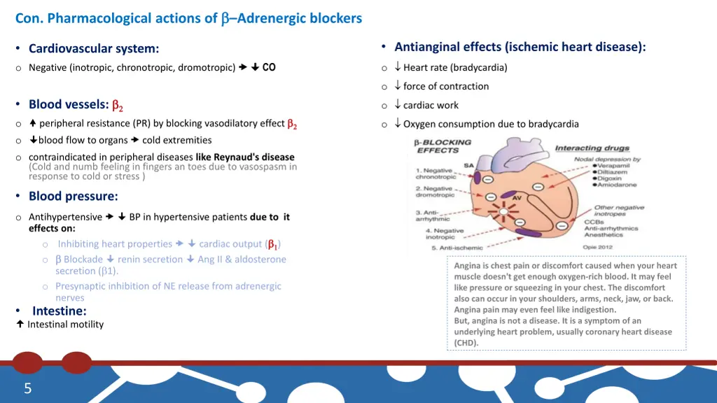 con pharmacological actions of adrenergic blockers