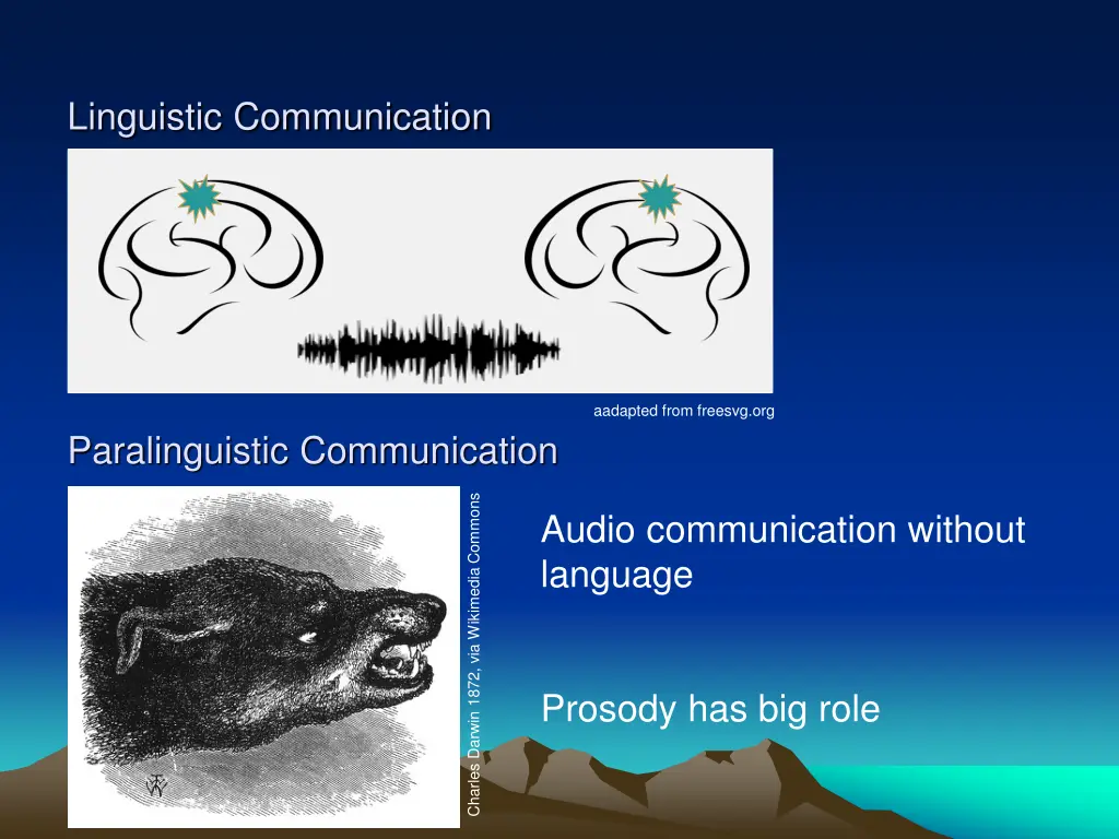 linguistic communication 1
