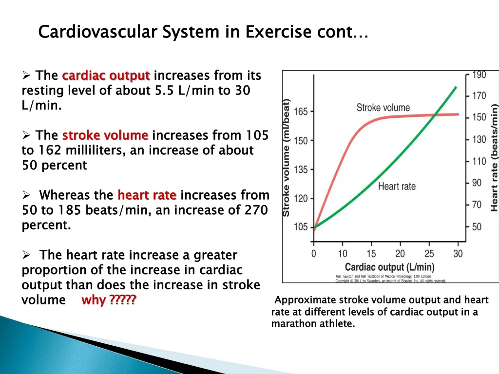 cardiovascular system in exercise cont 1