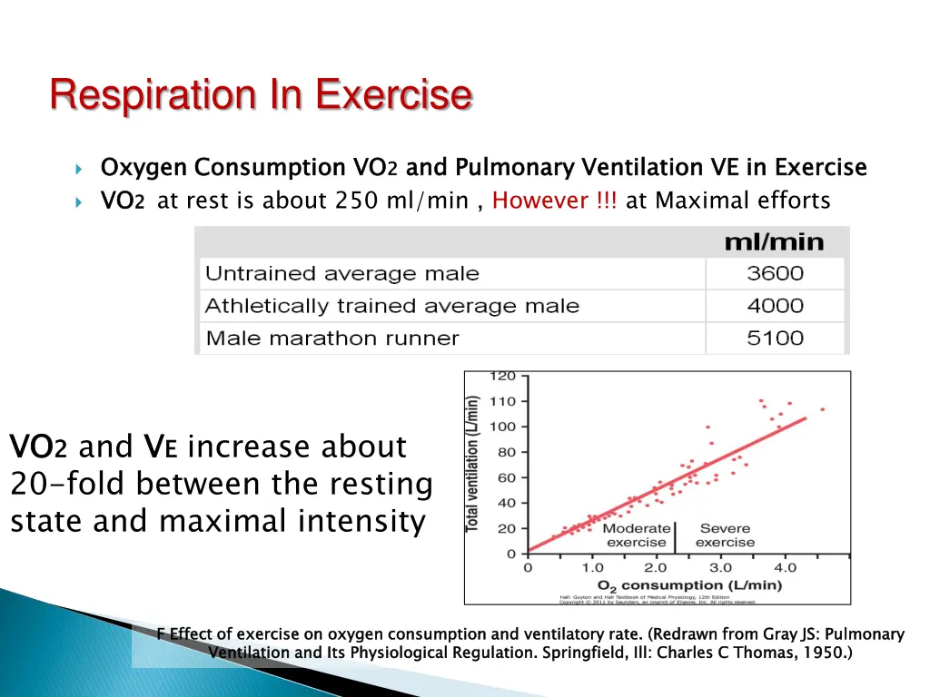 respiration in exercise