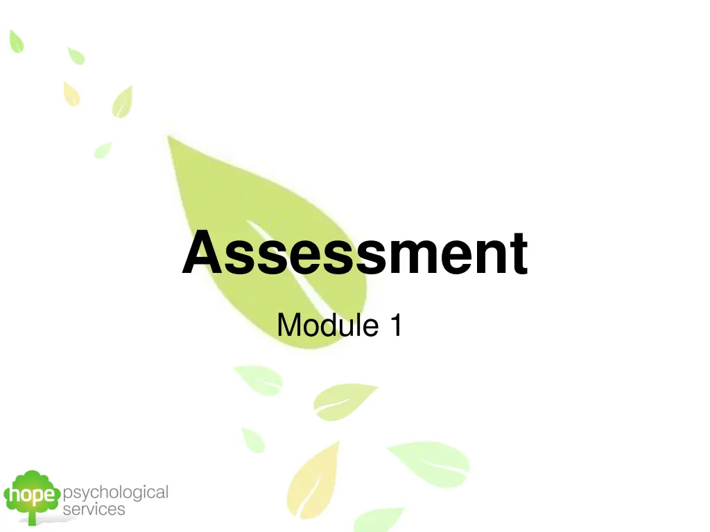 assessment