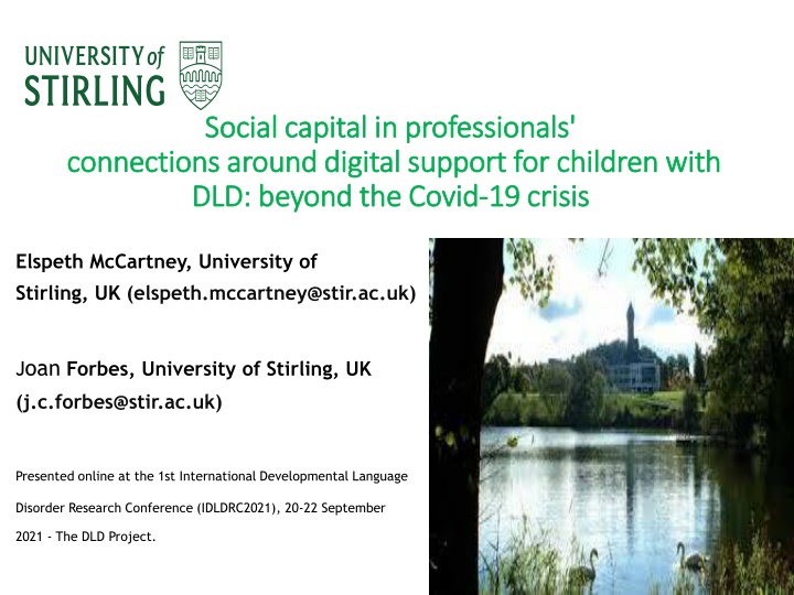 social social capital capital in in professionals
