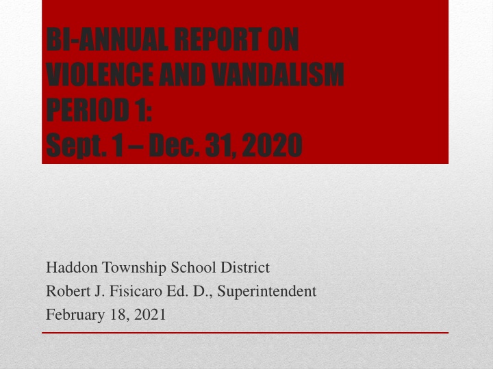 bi annual report on violence and vandalism period