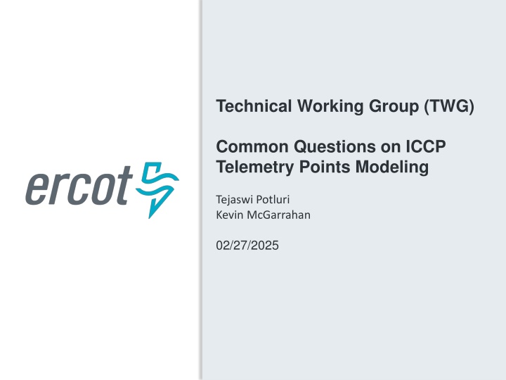technical working group twg