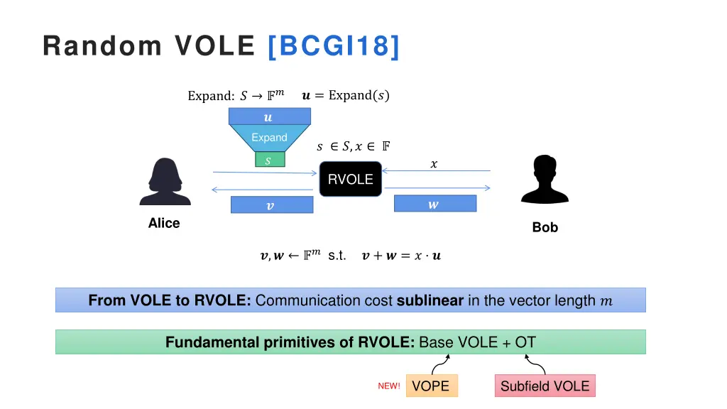 random vole bcgi18