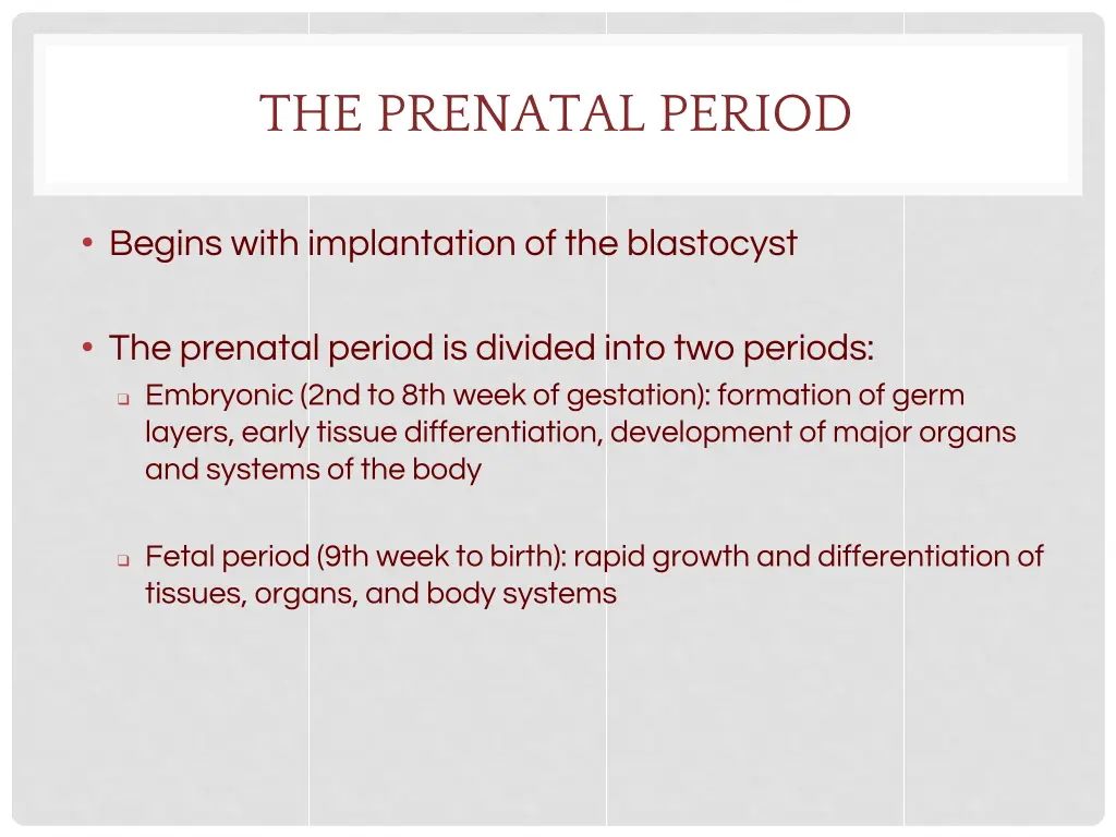 the prenatal period