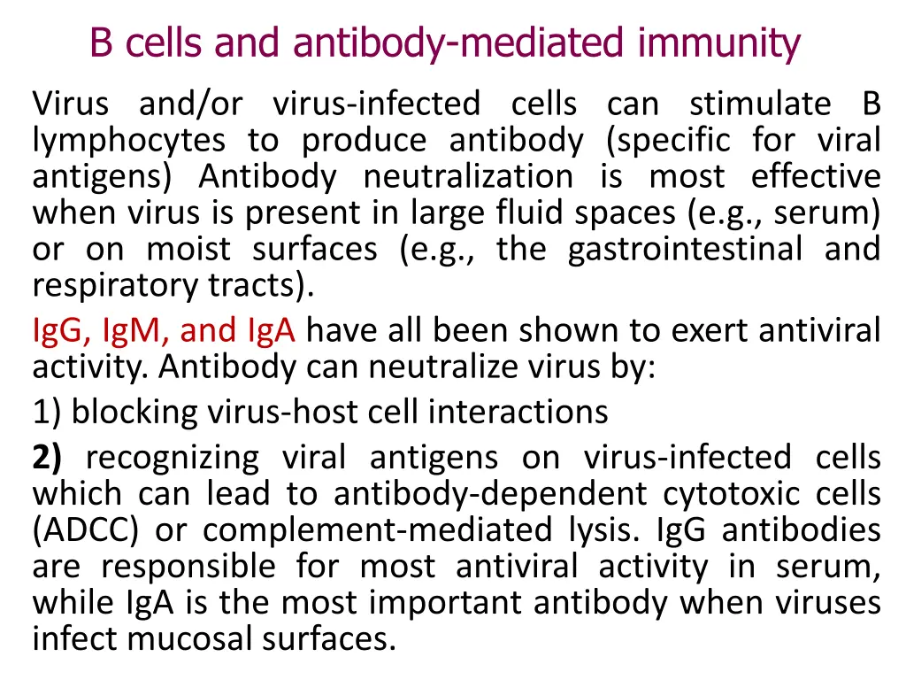 b cells and antibody mediated immunity