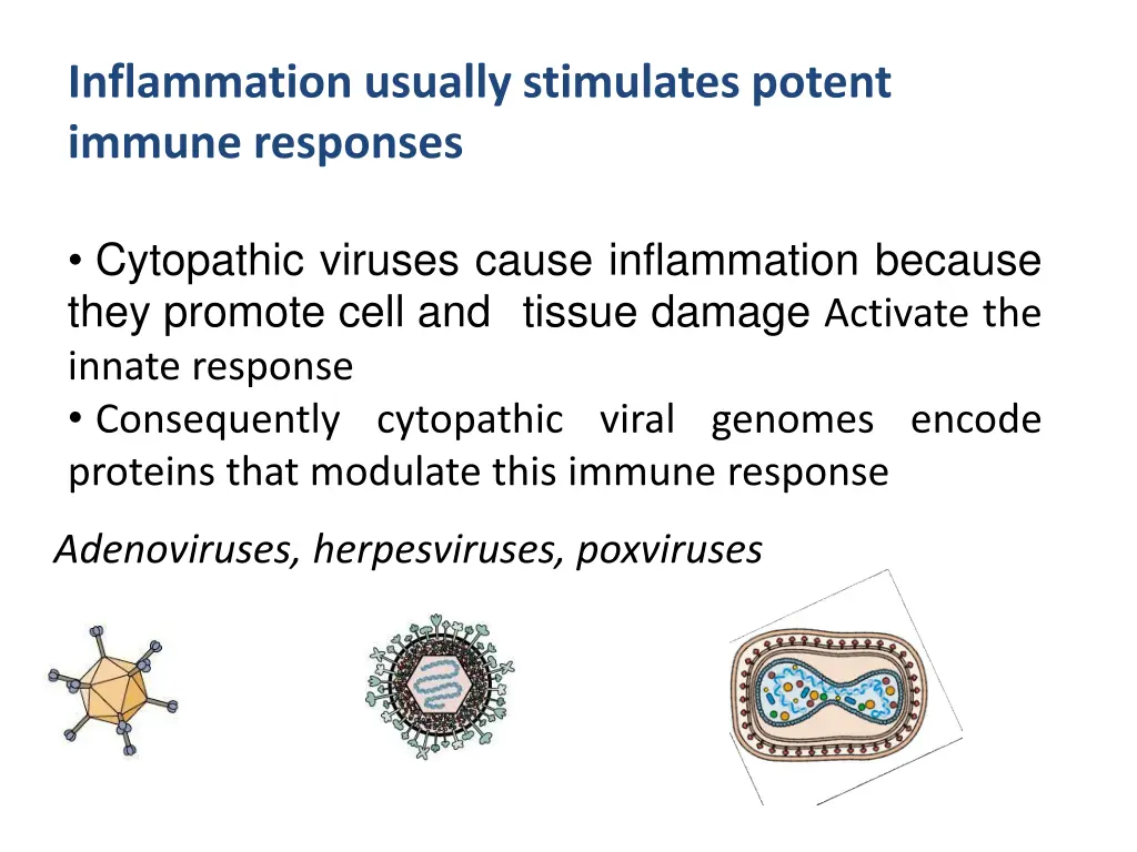 inflammation usually stimulates potent immune