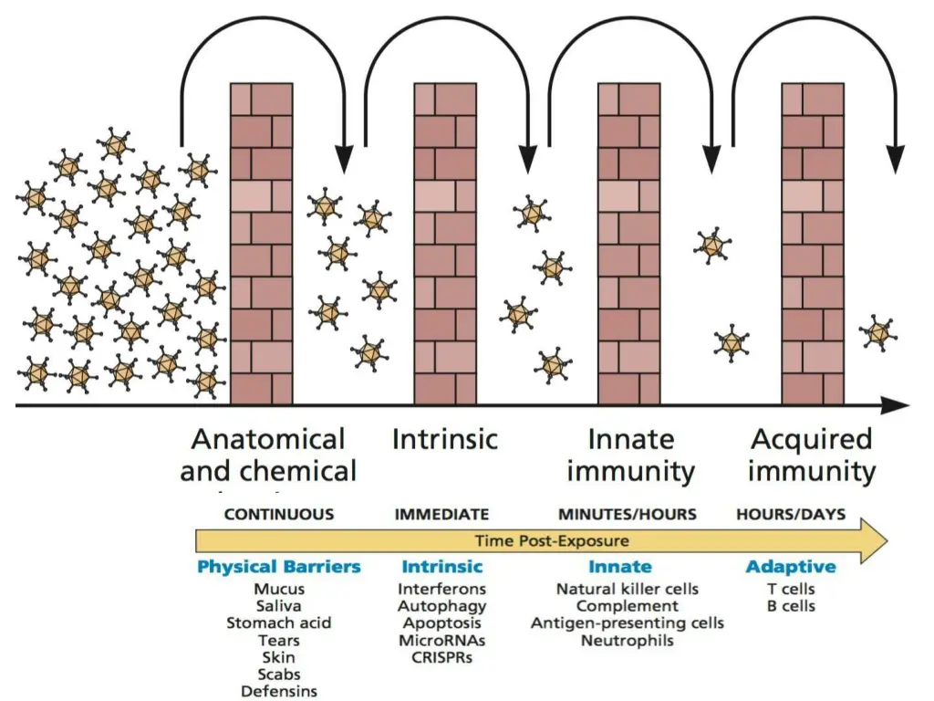 slide4