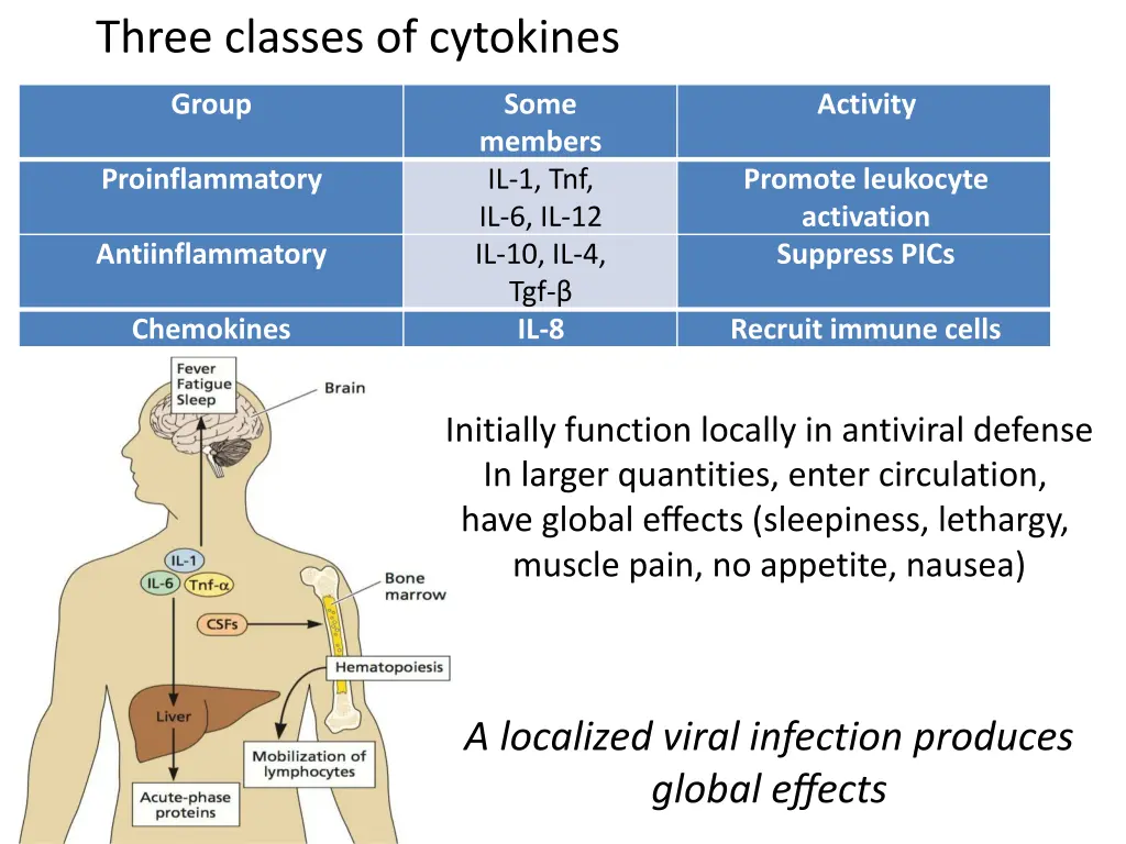 three classes of cytokines